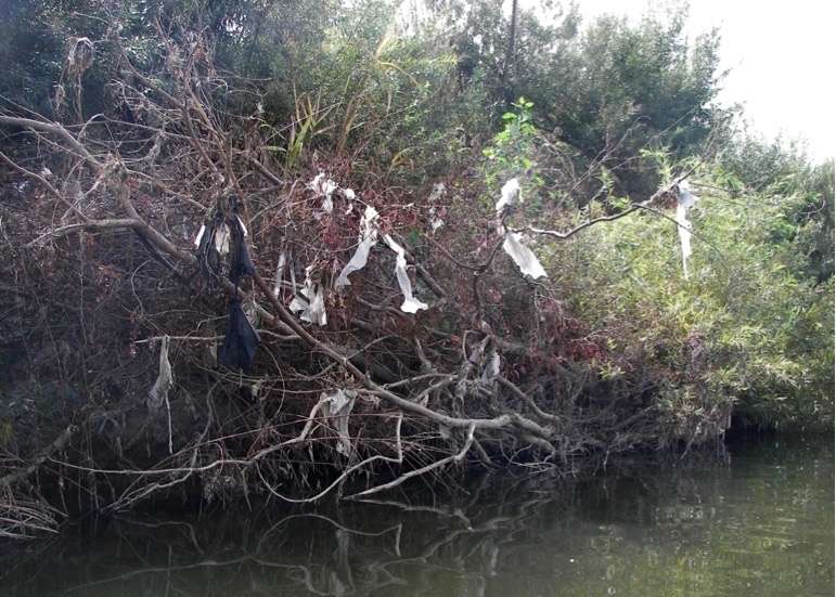 Plastic Bags Show Reduced Water Levels