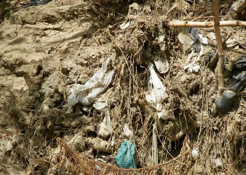 Plastic Bags River