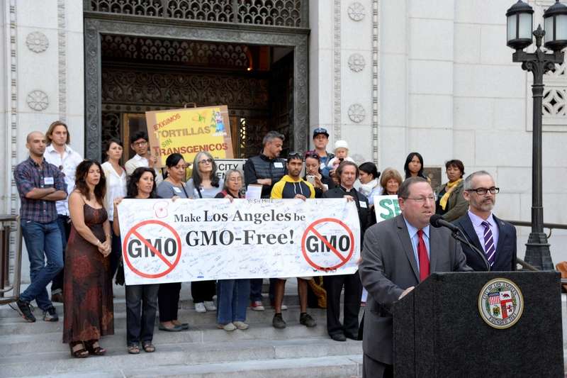 GMO Rally