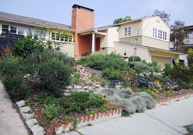 Hayes Nativescape Yard