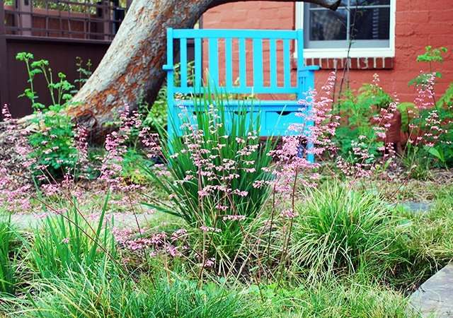 Rau-Griffiths Nativescape Yard