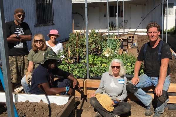 Edible Garden