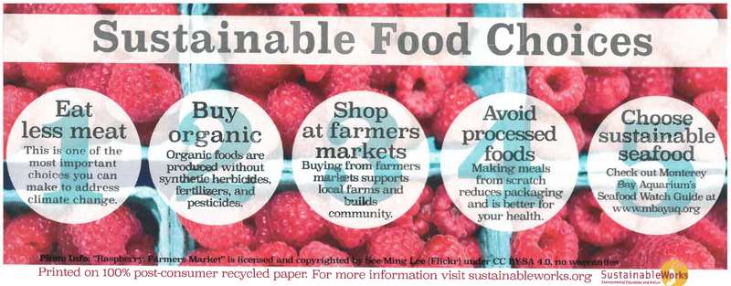 Food Choice Poster