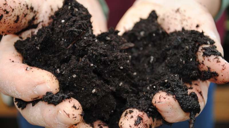 Compost Soil
