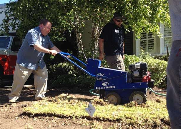 Turf Removal Rebate