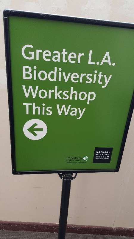 Biodiversity Workshop Poster